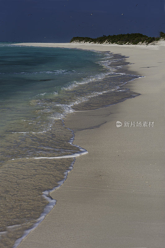 Sand beach on Midway Island with the water of the Pacific Ocean.